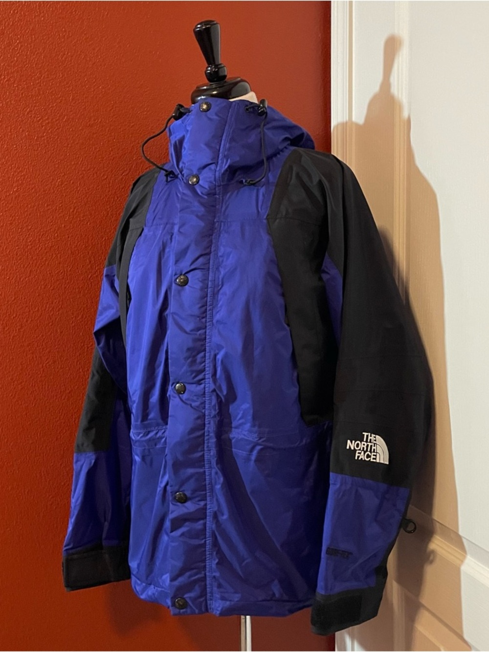 The North Face Men’s Vintage 90’s Colorblock Gore-Tex Mountain Light Jacket